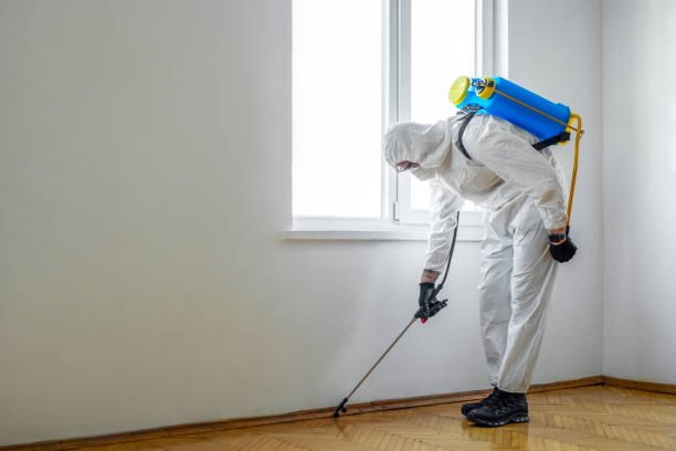 Best Best Pest Control Companies  in Canton, PA