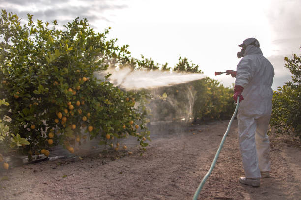 Best Exterminator Services  in Canton, PA