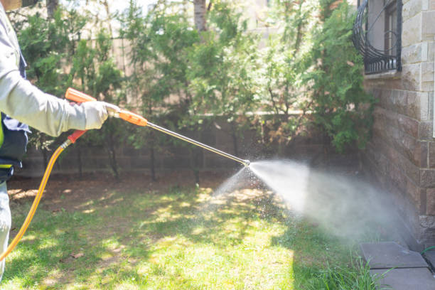 Bird Control in Canton, PA