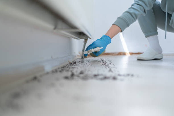 Best Best Pest Control Companies  in Canton, PA